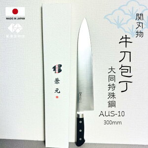 y֐nz XeX AUS-10  { 300mm v n a Kтɂ 悭؂ v[g g₷ Lb` lC