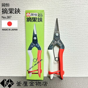 y|z P E No.307 EʃoT~ ͂ | K[fjO  ؂̎n  |Ƃ ǂ؂ y`OX֑Ή\z