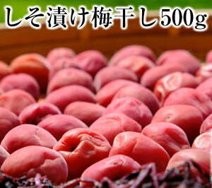 ln OdY IB썂~ Ђ ~ 500g 10%