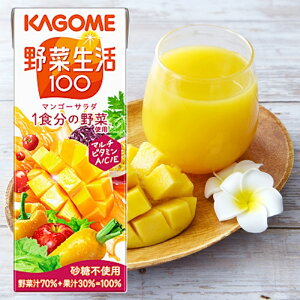 yKAGOMEzJS ؐ100 }S[T_ 200ml×48{(12{×4)