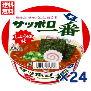 T[Hi Tb| 傤䖡 ǂԂ C 71g×24(2)