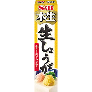 yS&BzGXr[Hi{ _Xu₩ȍ^傤 GINGER 40g×10