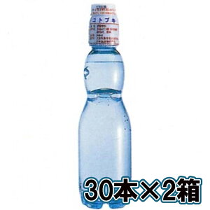 y؍zzRguL ybgl 240ml r[