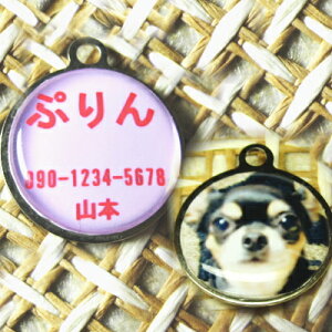 qD  L ybg ʐ^qD  qD l[^O ybg^O v[g Mtg hV̓ ̓ ̓y[֑Ήz