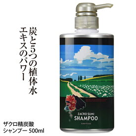 サニープレイス ザクロ 精炭酸シャンプー 500ml 地肌や髪に優しい PH5.5 弱酸性シャンプー ノンシリコン シリコンフリー