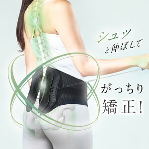 WAVEWAVE EFCuEFCu LUMBAR BELT o[xg WH49-02 Ջxg ⏕ Ճxg pxg