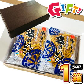 【あす楽対応 送料無料】ギフト包装でお届け！芋けんぴで有名店 水車亭（みずぐるまや）海洋深層水仕込み 塩けんぴ ギフト版 1袋（124g）×5袋 合計620g【賞味期限：2024年8月2日】【塩けんぴ 南国製菓 芋ケンピ 芋かりんとう 芋カリントウ】