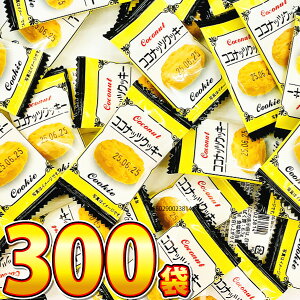 y߂܂ł̒ōŒZ͂zyz_J RRibcNbL[ 1܁i1j×300܁yƖp  ܂Ƃߔ Ăَq NbL[  q ʉَqzy̑i N