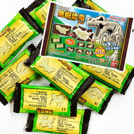 バンダイ キャラパキ 発掘恐竜チョコ 大袋【業務用 大量 お菓子 チョコレート 義理チョコ プレゼント 個包装 お返し】【販促品 ハロウィン 景品 お菓子 駄菓子】