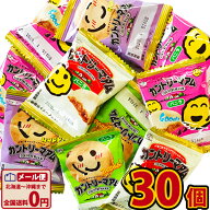 【ゆうパケットメール便送料無料】不二家　カントリーマアム　バニラ　30個【業務用 大量 クッキー お菓…