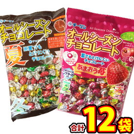 【平日正午までの注文で最短翌日お届け】【送料無料】 チーリン オールシーズンチョコ　2種類 合計12袋セット【大量 チョコレート 義理チョコ 個包装 まとめ買い プレゼント 溶けないチョコ 駄菓子屋 あす楽】【販促品 父の日 景品 お菓子 駄菓子】
