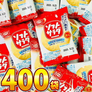 y߂܂ł̒ōŒZ͂zyzTc \tgT_ ~j 1 2.6gi1j×400܁yƖp  ʉَq َq ׂ lߍ킹   ʉَq ܂Ƃߔ 