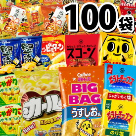 【あす楽対応 送料無料】★第78弾★限定「カール」や「ポテトチップス BIGBAG」「ポリンキー」も入った！ スナック菓子 16種類 合計100袋 詰め合わせセット【大量 スナック菓子 お菓子 詰め合わせ スナック菓子セット 福袋】