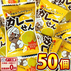 【ゆうパケットメール便送料無料】タクマ食品　ウマからスパイシー！カレーせん 1袋（1枚 2g）×50袋【ポイント消化 おつまみ お酒のお供 ポイント消化 煎餅 せんべい 個包装 子供 駄菓子屋】【販促品 こどもの日 景品 お菓子 駄菓子】