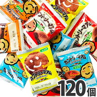 【平日正午までの注文で最短翌日お届け】【送料無料】不二家　カントリーマアム　ココア　120個【業務用 …