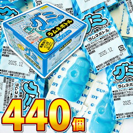 【平日正午までの注文で最短翌日お届け】【送料無料】丹生堂　グミ　ラムネボトル 1箱（110個）×4箱（合計440個）【大量 おやつ 菓子まき まとめ買い 個包装】【販促品 お祭り 景品 お菓子 駄菓子】