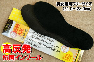 _ő1000~N[|L 11/24^ŋz RuX RۃC\[ t[TCY(21.0`28.0cm) COLUMBUS ~ Y fB[X V[PA TCY RۖhL Ռz