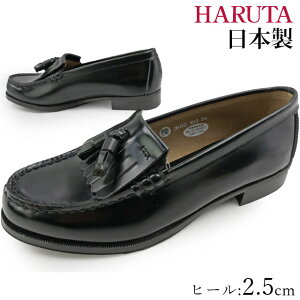n^ HARUTA Lg^bZ [t@[ wC fB[X 313 { 2E tH[} w Z ʊw   ubN  ŋz evid