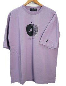 ＼ポイント7倍 4/25限定／カンゴール KANGOL メンズ レディース Tシャツ ティーシャツ 半袖 トップス ウェア カットソー C5233N 丸首 クルーネック 服 アパレル ホワイト 白 オートミール パープル