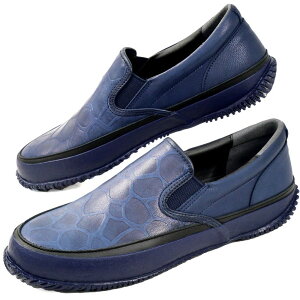 yԕizXsO Y Xb| CfBS [Jbg JWAV[Y {v Japan Beauty U[ { SP-1056 CfBSu[ F ChCWp C 