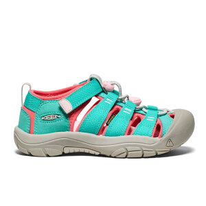 _ő1000~N[|L 11/24^L[ j[|[g GC`c[ LbY T_ j̎q qC ̎q X|[cT_ WjA Oӂ xN lCr[ 1029140 ANA 1030792 sN