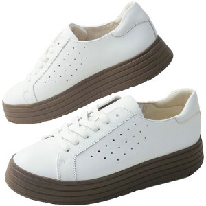 [K А bhEbho[×~lgJ(R) fB[X Xj[J[  C R[g^Cv v ubN zCg JWAV[Y M07C  ŋz evid