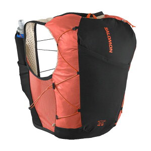 _ő1000~N[|L 11/24^T jOxXg fB[X LC2663200 ANeBuXL 12 obO AEghA 12L bN gCjO tXNt g }\ W