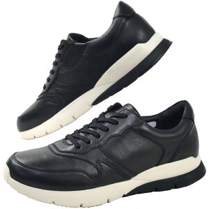 ���[�K���E�H�[�J�[ �����Y �X�j�[�J�[ ���[�J�b�g ���C�Y4E �J�W���A���V���[�Y ���L �{�v �y�� 351W �u���b�N �� �u���E�� �C �������� �ŋ������z�� evid