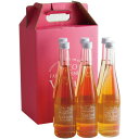 【あす楽】【地域貢献】ベルジュ風 葡萄酢 6本セット ココ・ファーム・ワイナリー 500ml×6 COCOFARM&WINERY 栃木県 足利市 ココファーム 若摘み葡萄 お酢 グリーンハーベスト 葡萄果汁 約3倍希釈