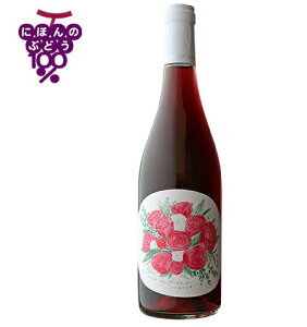 yN[ցzyyzynvzRREt@[ECi[ oF̐l 750ml COCOFARM&WINERY Ȗ، s ^i c@CQg [C ~fBA{fB h ALCx11.8% {C