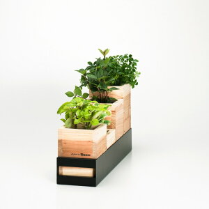 moretrees v^[ S AgD[Y XѕۑSc ssƐXȂ X̌b NGC^[ fUCi[ ̂Â iX O gݍ킹R CeA r IWifUC 