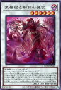 遊戯王 DOOD-JP040 スーパーレア シンクロモンスター 黒薔薇と荊棘の魔女 【中古】【Sランク】