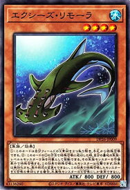 遊戯王 DP26-JP009 ノーマル 効果モンスター エクシーズ・リモーラ 【中古】【Sランク】