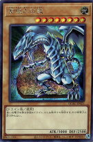 楽天市場】青眼の白龍 kcの通販