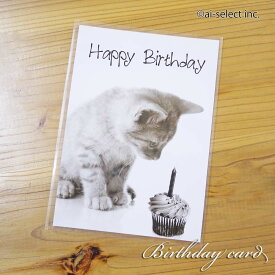 あす楽 バースデーカード ドイツ直輸入 縦型 プレゼントに添えて ネコ 好きの方に はがき ハガキ 写真 おしゃれ 誕生日カード シンプル 北欧 メッセージカード 猫 ねこ お祝いカード インテリアにも 猫 おしゃれ カップケーキ