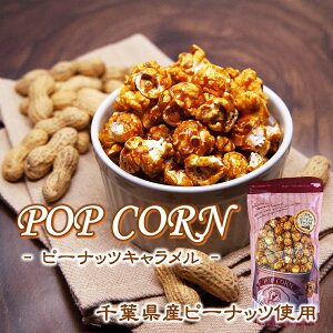 【ピーナッツ キャラメル ポップコーン 150g入】 国産 落花生 千葉県産 落花生 八街 ピーナッツ ポップコーン ナッツ キャラメル ご当地 お取り寄せ 千葉県 特産品 マッシュルーム型 おやつ