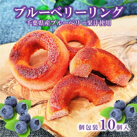 【ブルーベリー リング 10個入】 個包装 焼き ドーナツ 焼きドーナッツ 焼菓子 リングケーキ ケーキ ご当地 お取り寄せ 千葉県 千葉県産 木更津 ブルーベリー お土産 おやつ