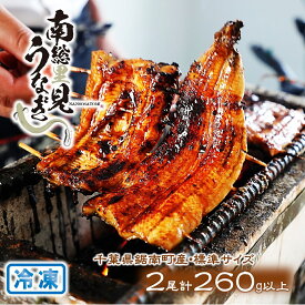 (送料無料)【うなぎ 蒲焼 (中)×2尾 箱入】南総里見 うなぎ 千葉県産 土用の丑の日 鰻 養殖 うなぎ 国産 2尾 うなぎ 長焼き 贈り物 お取り寄せ 千葉県 地方特産品 高級ギフト 千葉 ギフト 高級 内祝 クール冷凍 ≪同梱不可≫