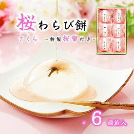 (送料無料)【桜 わらび餅 6個入】 水わらび餅 桜蜜 桜みつ 春 ギフト 桜 和菓子 桜 スイーツ 差し入れ お取り寄せ SNSで話題 インスタ映え 季節限定