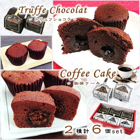 (送料無料)【トリュフショコラ & 珈琲 ケーキ 2種計6個set】 個包装 トリュフショコラ チョコケーキ コーヒー 珈琲 キャラメル おやつ お茶菓子 焼菓子 ミニケーキ プチケーキ ギフト プレゼント 常温便発送(11月～5月)