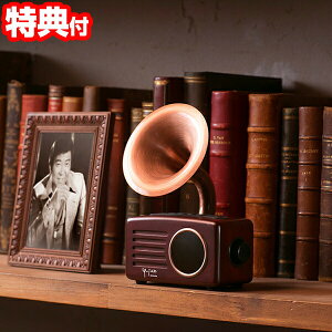 ΌTY ȃvC[ 85ȓ yv[[ Bluetooth FM AM WI Xs[J[   rO  Q TYxXg  y^ ~jv[[ g ȒP 