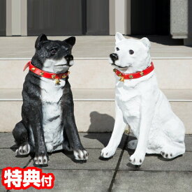 番犬 わんわんリキ ワンワンリキ SH2980 センサー感知 門番 泥棒防止 強盗防止 抑止 予防 制御 セキュリティー 空き巣防止 犯罪防止 出迎え 犬 番犬 センサー オーナメント 玄関置物 いぬ 防犯 ガーデンオーナメント イヌ 玄関 エクステリア