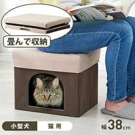 ペットハウスになるスツール ねこ 椅子 イス 腰かけ チェアー 小型犬 ペット ペットハウス スツール キャットハウス ドッグハウス 家具 椅子 足置き オットマン ボックス型 かわいい 折りたたみ コンパクト 収納 畳める キューブ型 クッション リビング 犬 猫 可愛い 腰掛け