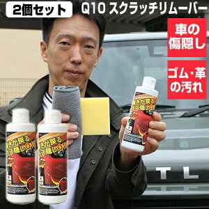 2Zbg TVŏЉ Q10 LYB P߂ BQ10 XNb`[o[ _^ B LYN[ RpEh   B vỉ Q10 wbhCgN[i