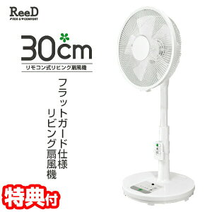 yIԌiitzReeD 30cmR rO@ RD-BRS3024 @ R@ rOt@ Vv@\ u@ tbgK[hdl Rt ؃^C}[ EU ߓd 