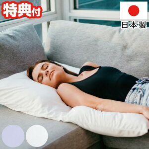 cCXgs[ { 炾݂ޖ cC s[ zedl Ch^Cv   ܂   n  ܂ }N 􂦂  i PL-9001 40×70×H35cm 