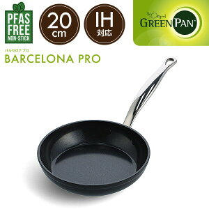 O[p oZiv tCp 20cm CC007541-004  IHΉ wsgp PFASsgp tbfsgp S Z~bNR[eBO тɂ ȒP c[OK 