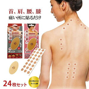 ANeBoC^ EI _FI 24I Activital 2wő𖳗ɕύX ʈË@ ƒp I ͂ j Ipb` c{ \邾 I Аj n uI uI ډ uj 