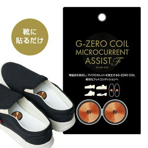 yIԌiiz G-ZERO COIL W[[RC }CNJg AVXgF24 Cɓ\ [ GHE-G04 W[[RC dgJbg C  L G[ C\[ ̓d GlM[ p[  