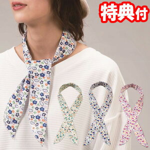 ЂlbNN[[ 3Fg 2wő 񌳃N[[ ⊴XJ[t p`[t 񌳂Ђ M΍ N[[
